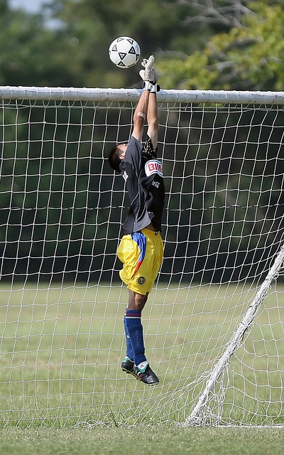 了扎实的保 了扎实的保