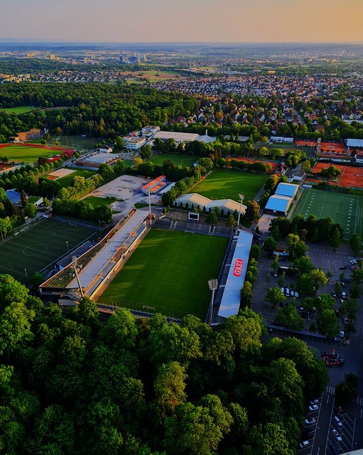 阿仙奴2 阿仙奴2