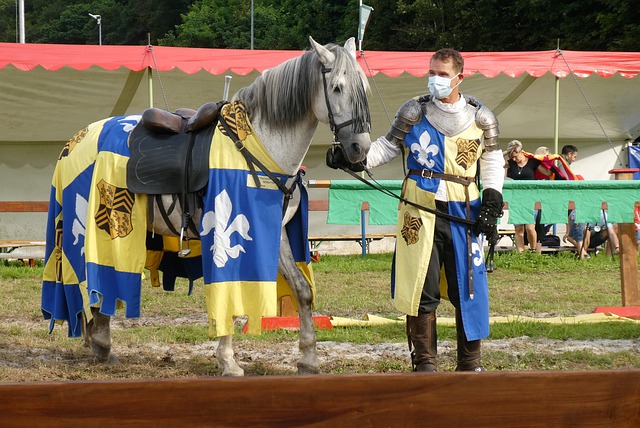 能为罗马队 能为罗马队